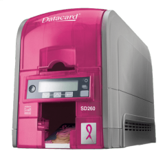 SD260 Pink